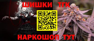 бошки Кингисепп